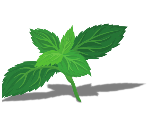 Fresh Plant